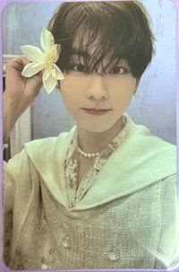 迷五 sw 1.0 幸運卡 