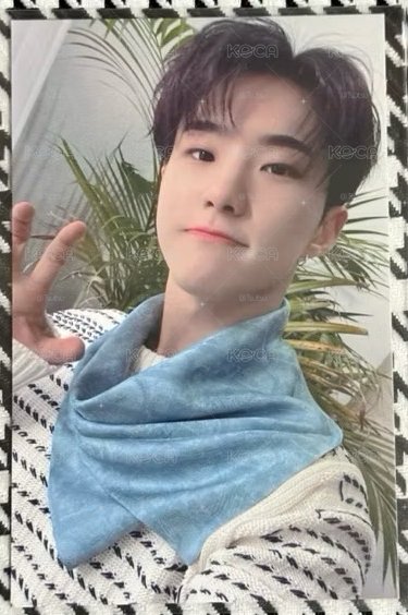 （現貨 可當日寄出）seventeen 迷八 MINI8 小卡 特典卡 hoshi 權順榮 口水巾榮 虎爪榮 itp