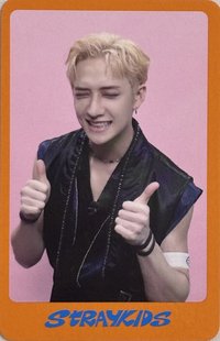 DICON D'FESTA 雜誌卡 