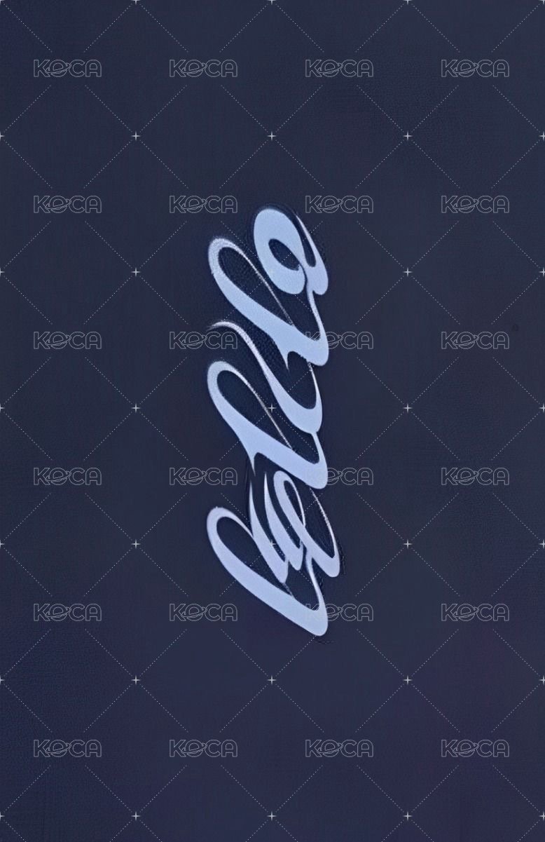 AGASSY 專輯卡  背面