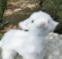 ㄷㄷ
