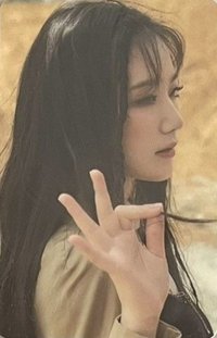 UH-OH 周邊卡 寫真書小卡 PB卡