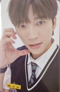 植木日5 隨機卡 