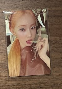 中文卡背（我的臉頰肉正當季呢）