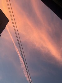 愛麗絲的小貓🐈‍⬛