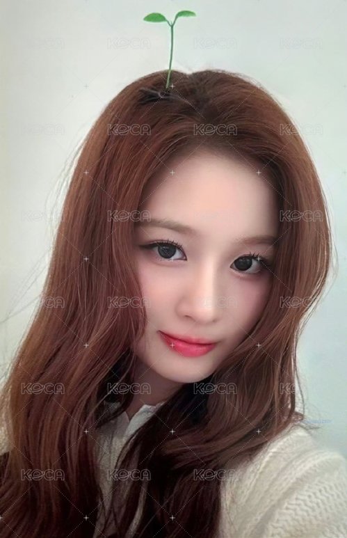 FORWARD ms 線下 5.0 簽售卡 幼苗薛 正面