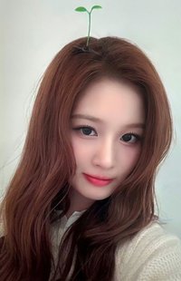 FORWARD ms 線下 5.0 簽售卡 幼苗薛