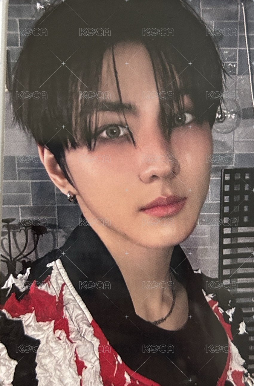 正二 yzy 5.0 特典卡  正面