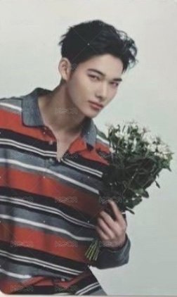 宵 -YOI- 環球 通常盤 特典卡  正面