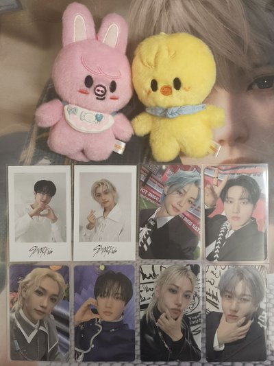 SKZ 🐥🐷🐰 彬菲 滿額卡 特典卡