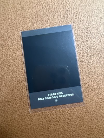 2022 SG 抱熊拍立得