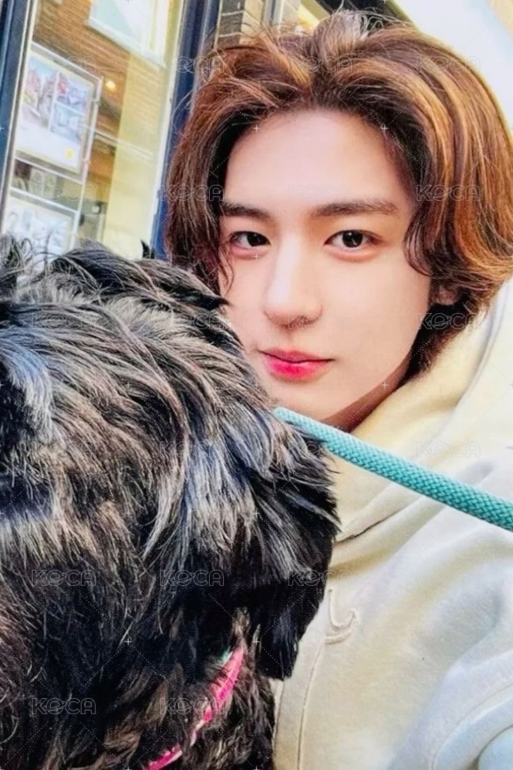 HOW? 專輯卡 Sticker ver. 5 正面