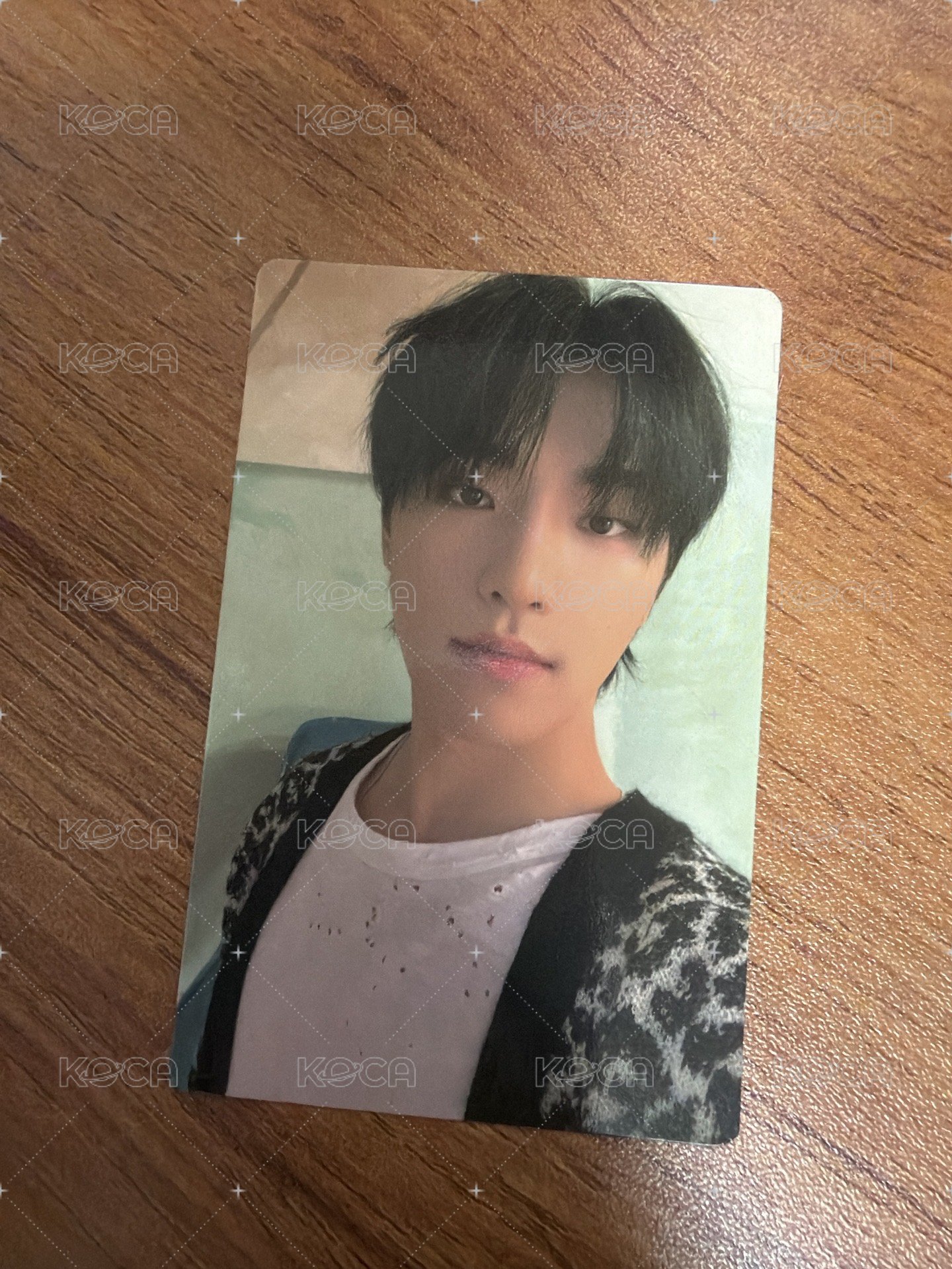 SVT DINO