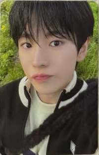 Steady 隨機卡 A版