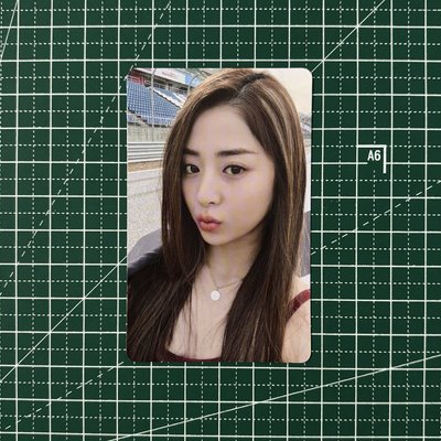 𓊆 無畏專輯卡 🐶𓊇