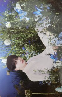 WTL FINAL 隨機卡 元03/08 官拍卡