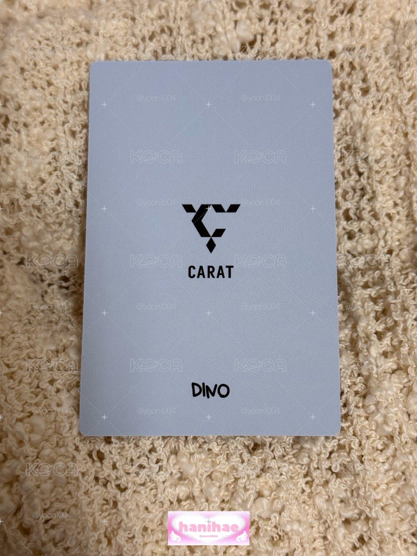 DINO 李燦 9期會員禮卡