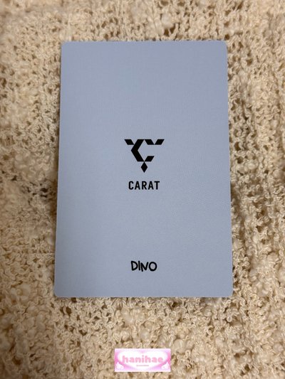 DINO 李燦 9期會員禮卡