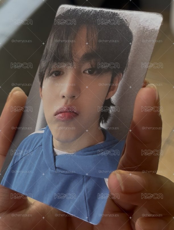 藍莓哲
