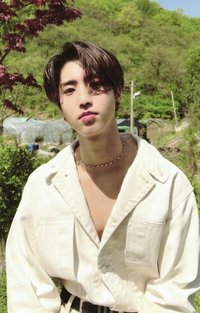 MAXIDENT target 特典卡 