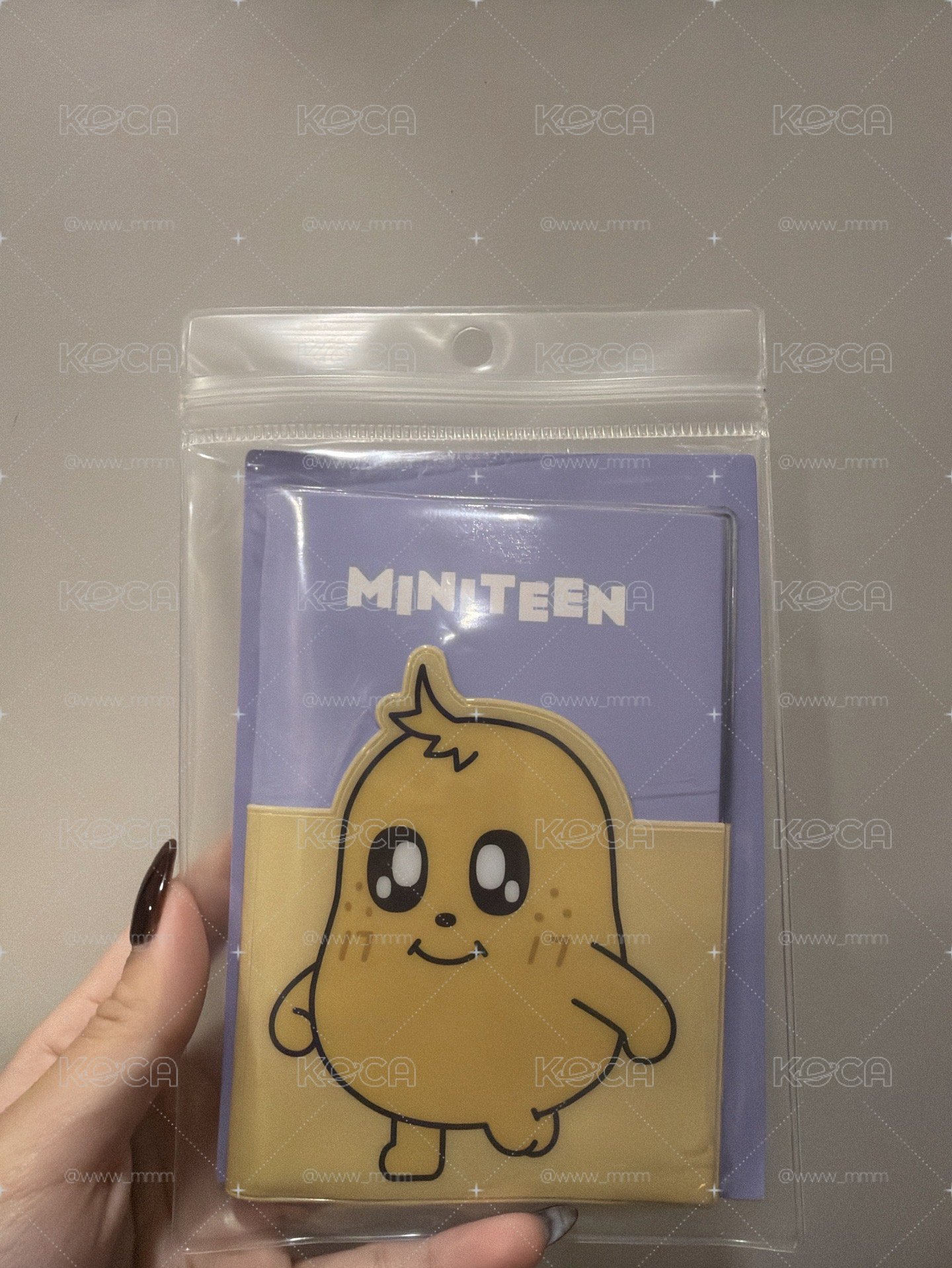 Miniteen🥔金珉奎護照套