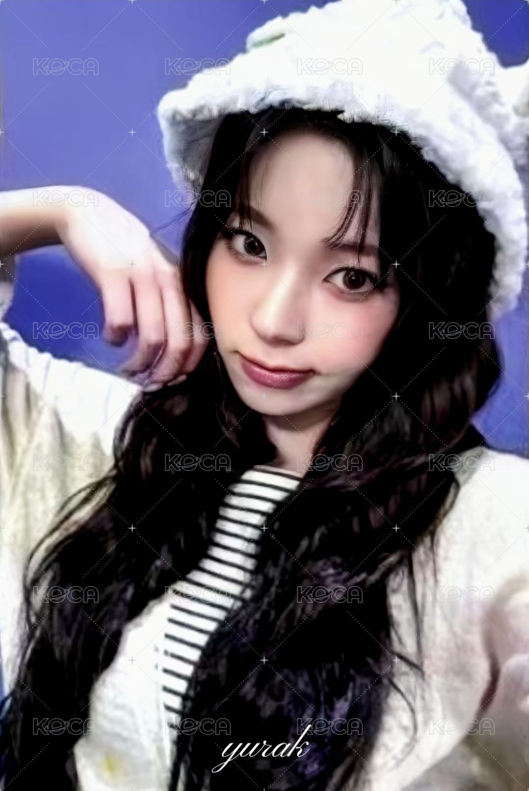 FORWARD 數星星 3.0 簽售卡 小羊圭 正面