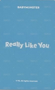 25’世巡 yg 拼圖卡 周邊卡  背面