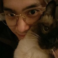 今天明天後天都會愛小狗