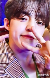 22’博物館 周邊卡 卡套卡