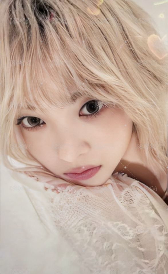 HOT 日咖 特典卡 單封預售特典 正面