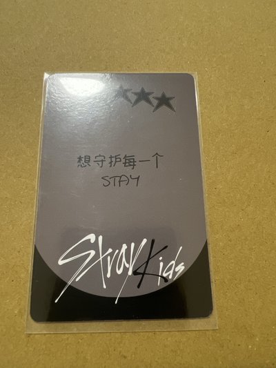 五星 YZY 1.0燦 中背