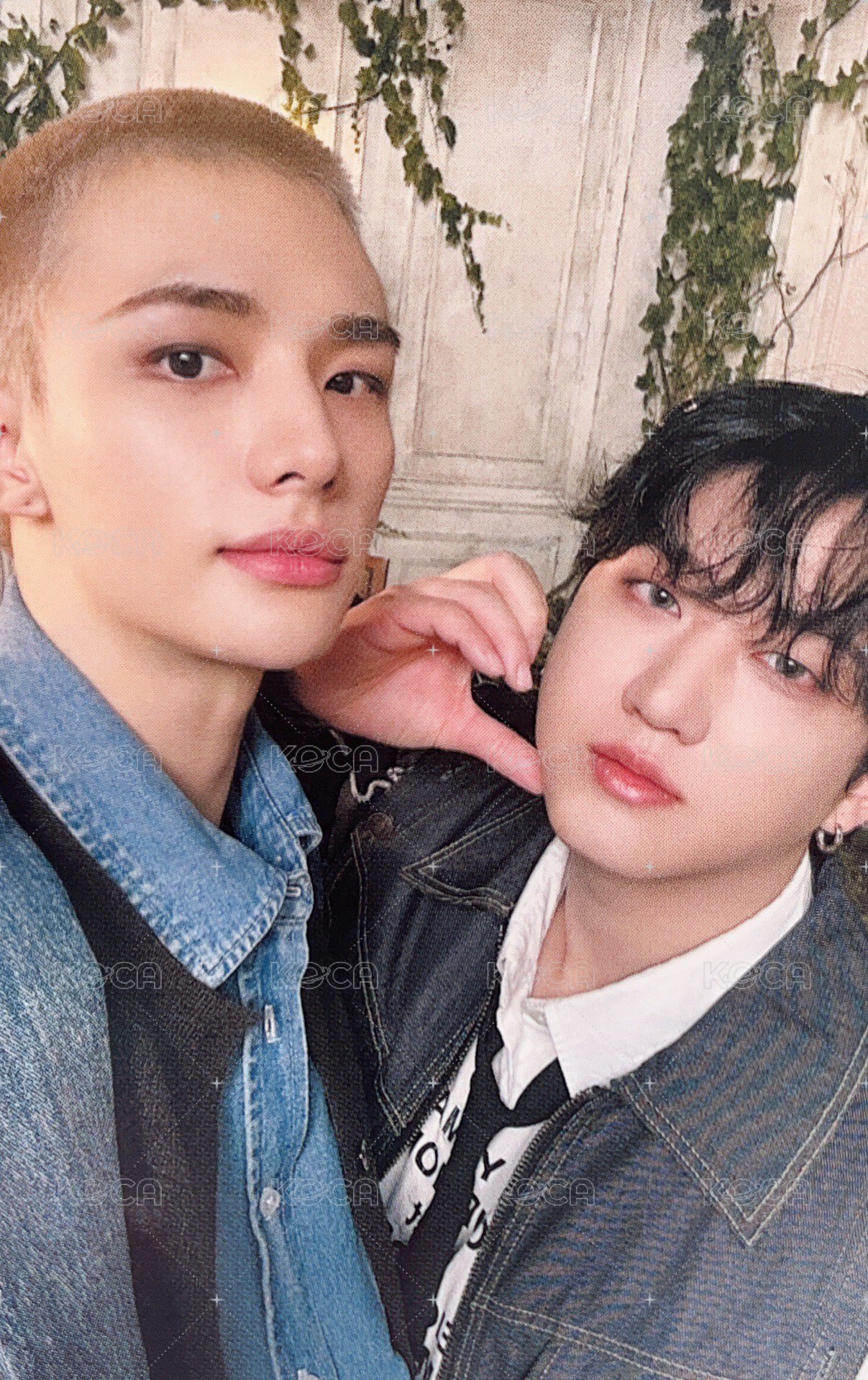 Hollow JYP JAPAN Fanclub 特典卡  正面