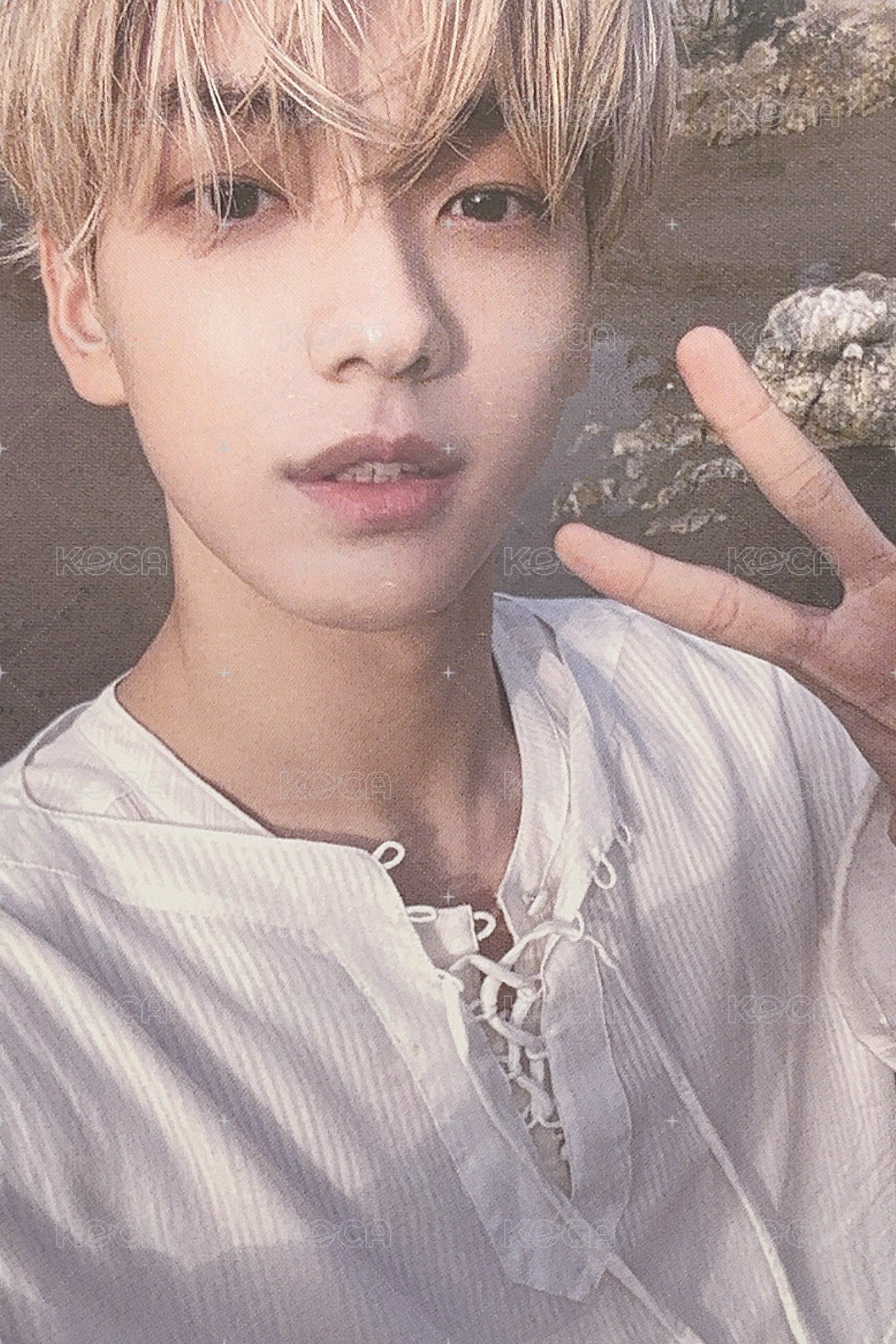 迷五 專輯卡 Farewell版 正面