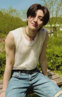 MAXIDENT target 特典卡 