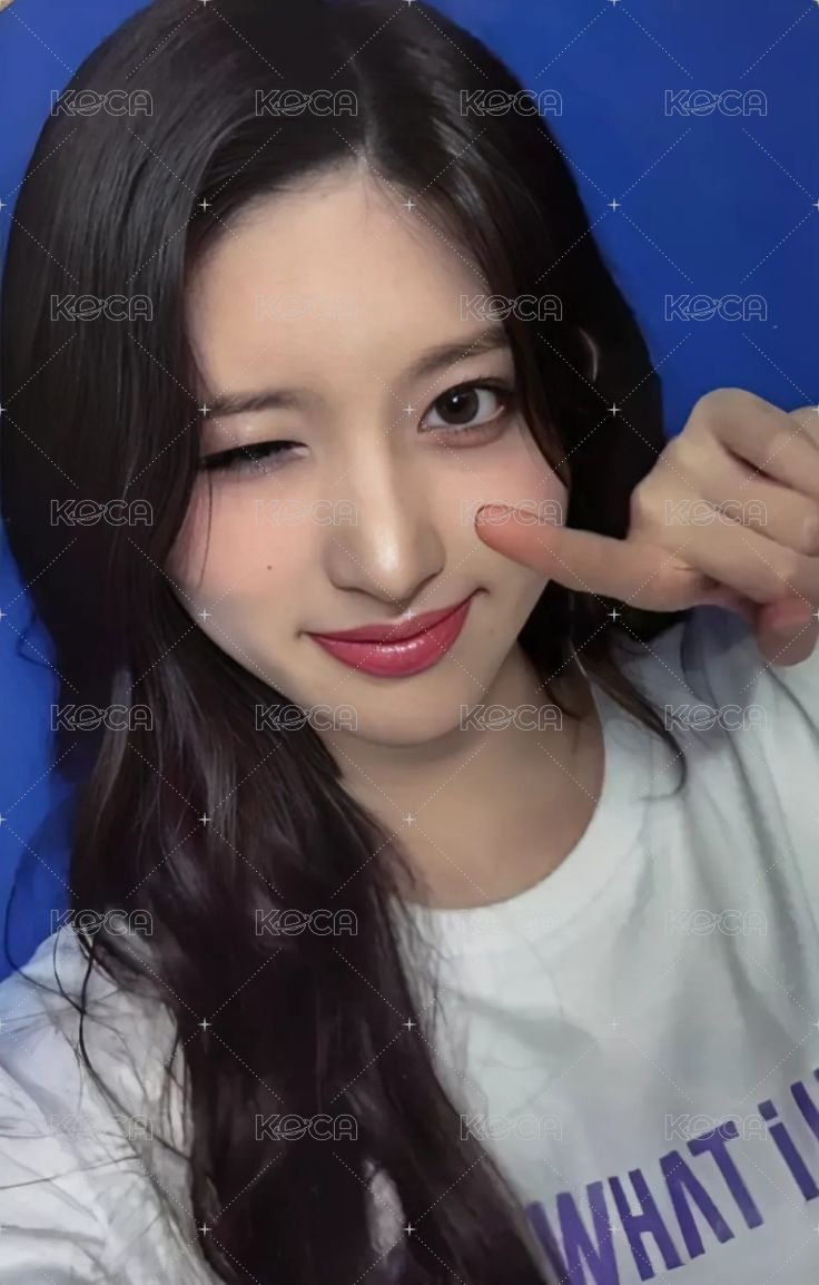 SHOW WHAT I HAVE k4 特典卡  正面