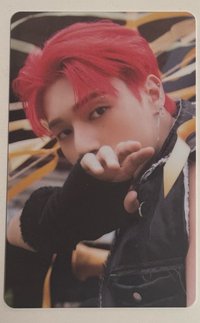 紅色狐狸咬手套