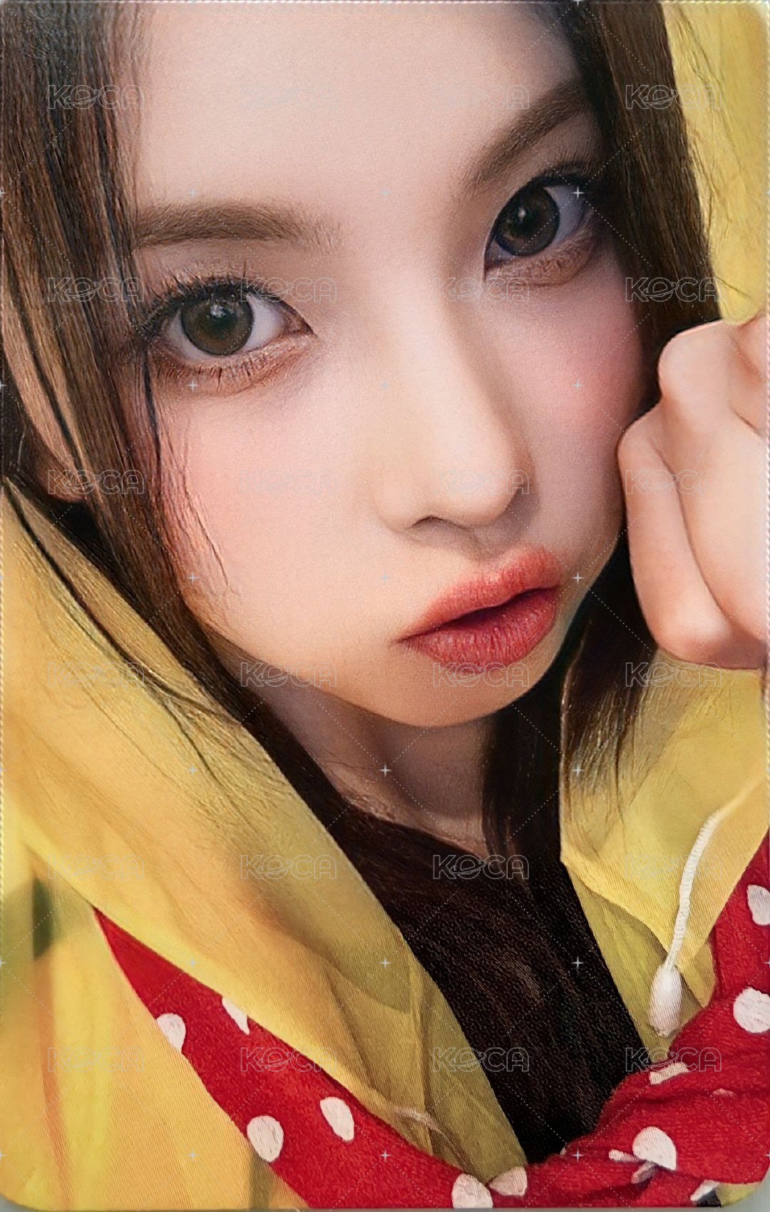 仲夏夜 ms 3.0 簽售卡 雨衣 正面