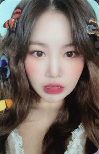 火花 mk 特典卡 蝴蝶珍