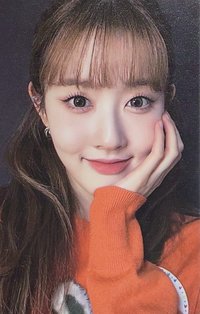 Teddy Bear Blip 特典卡 