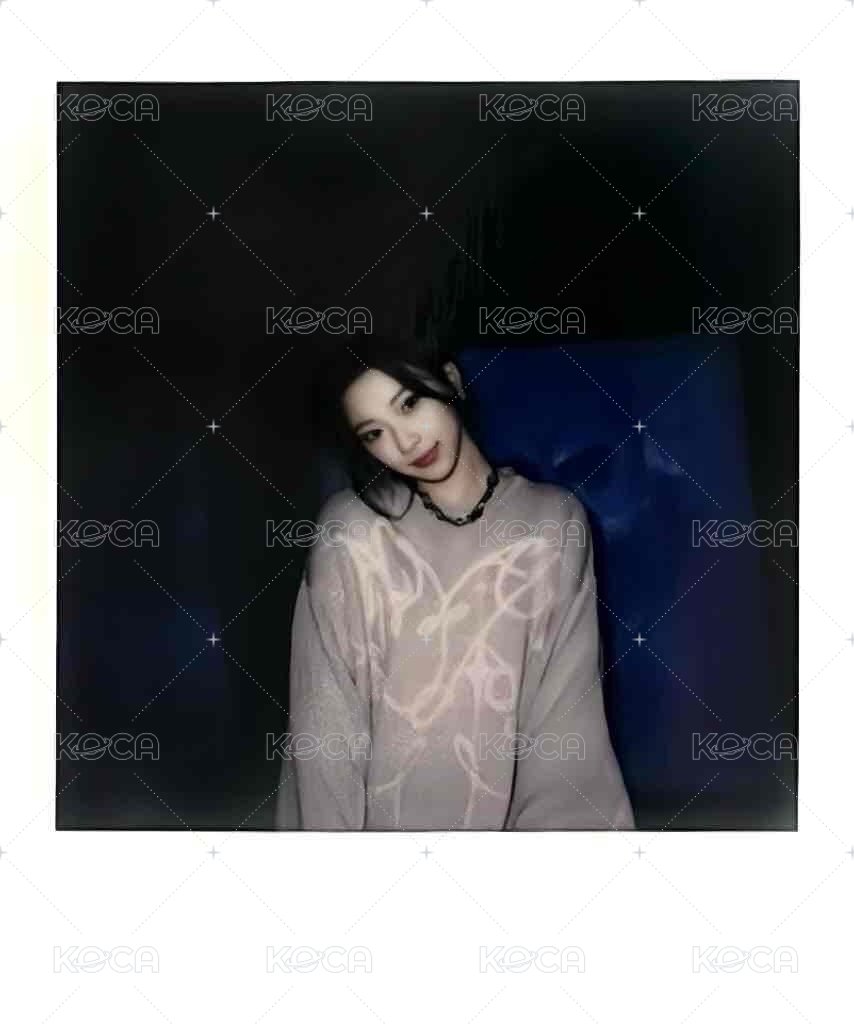 25’世巡 wvs 拼圖拍立得 周邊卡  正面