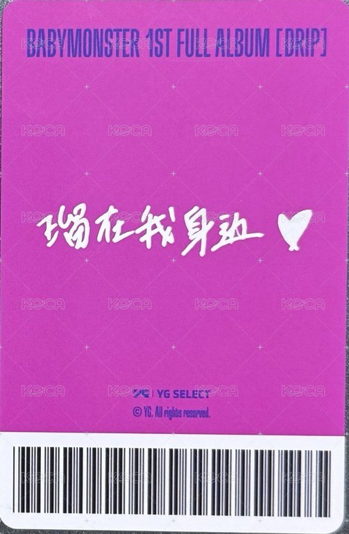 DRIP yg 中區 團封預售 特典卡 中背 背面