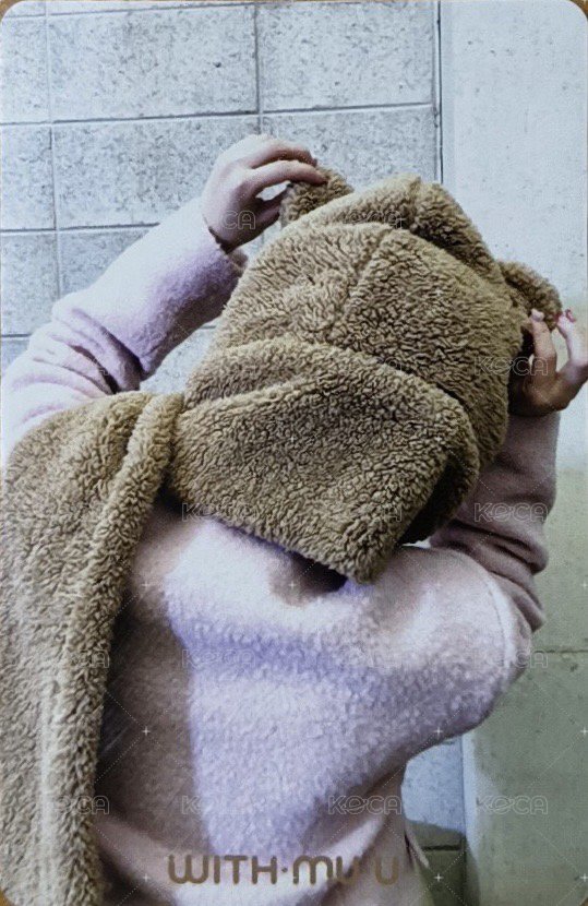 泰迪熊 wm 2.0 特典卡 小熊珉 背面