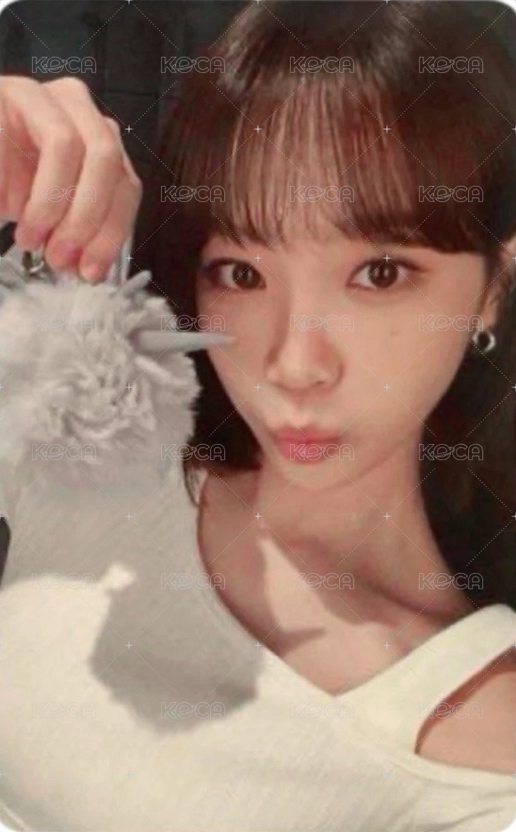 CRAZY JP 周邊卡 毛球卡 正面