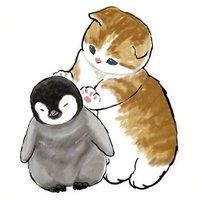 兔兔在這裡
