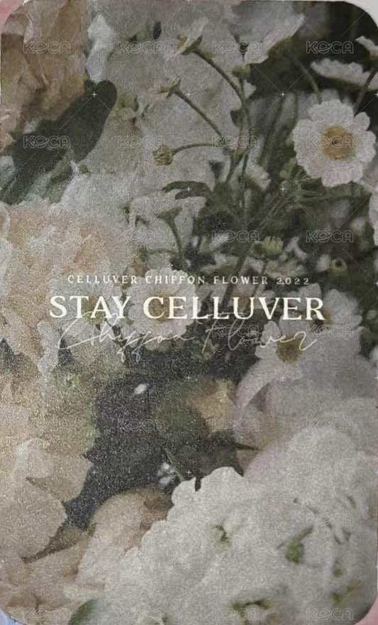 代言卡 STAYC ISA Celluver 香水莎 香氛莎 背面