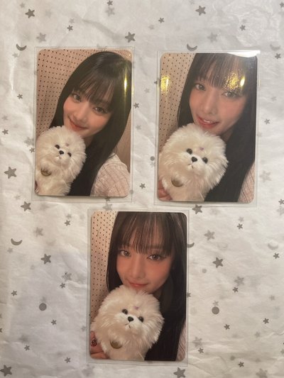 am線下小狗特典米妮