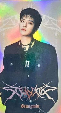 3rd 世巡 B版 隨機卡 大卡組