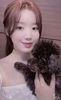 正規二 kms 5.0 簽售卡 v3