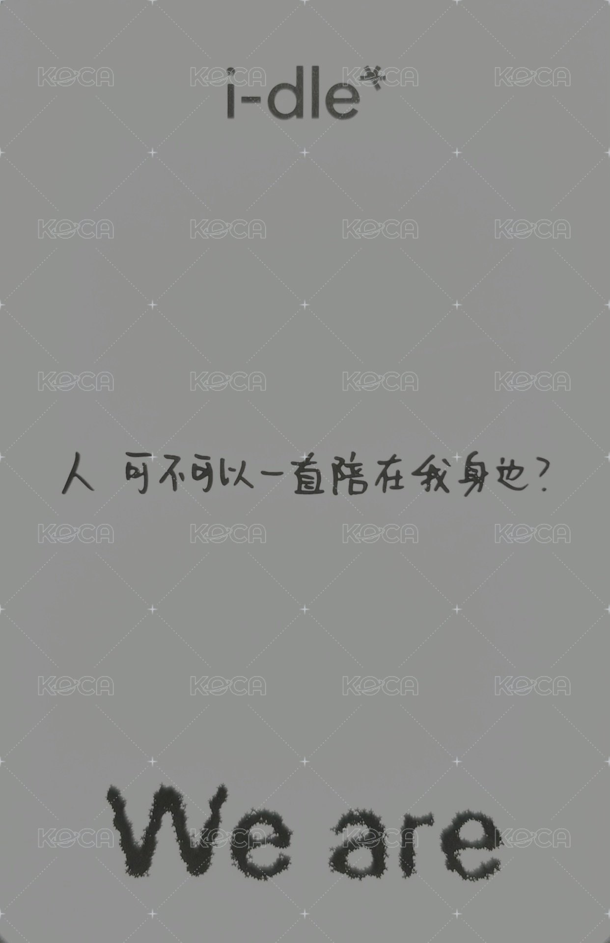 We are k4 預售 特典卡 A ver 貓掌 背面