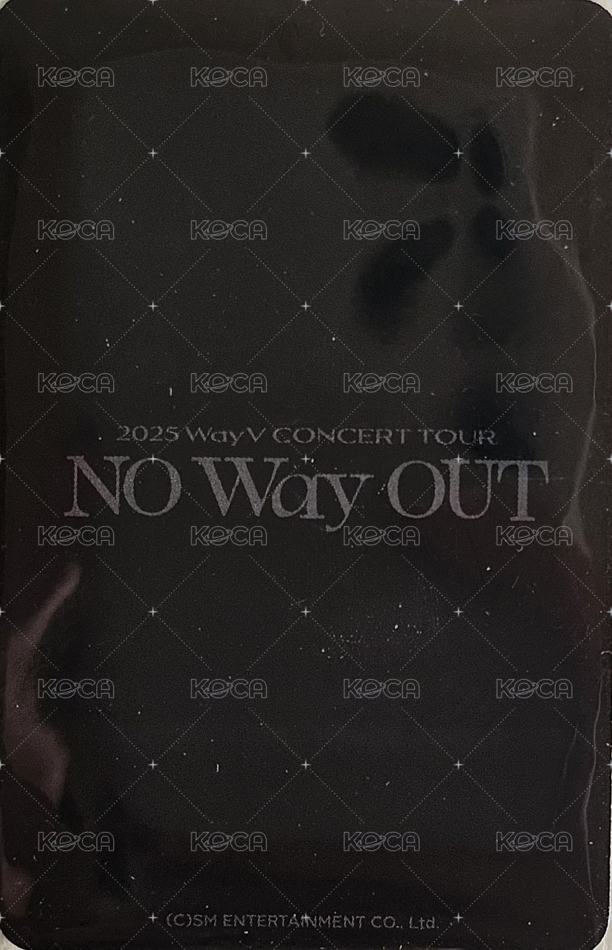 WayV 二巡演唱會 隨機卡  背面
